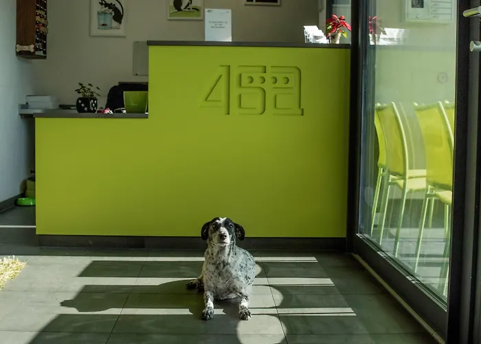 أبارتهوتيل 46 أيه 3*